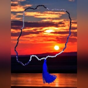 Elegant Blue and White Beaded Necklace